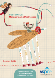 Picture of BSBTWK502 Manage team effectiveness eBook (ECEC)